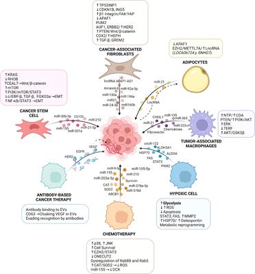 Role of the Pro-Inflammatory Tumor Microenvironment in Extracellular Vesicle-Mediated Transfer of Therapy Resistance